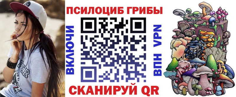 Псилоцибиновые грибы мицелий  даркнет сайт  МЕГА зеркало  Чебаркуль 